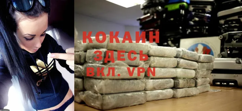 где купить наркоту  Байкальск  Cocaine Боливия 