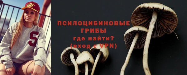 apvp Пестово