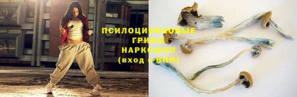 марки nbome Пересвет