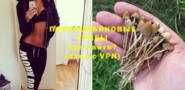 apvp Пестово