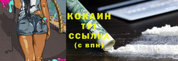 apvp Пестово