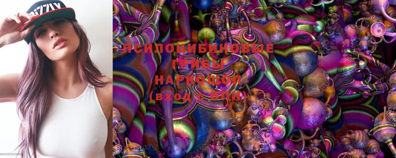 что такое наркотик  Байкальск  Псилоцибиновые грибы MAGIC MUSHROOMS 