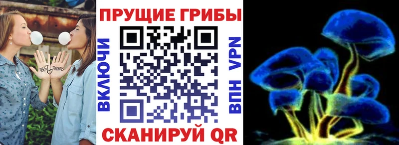 OMG ССЫЛКА  Байкальск  Галлюциногенные грибы мицелий  магазин продажи  